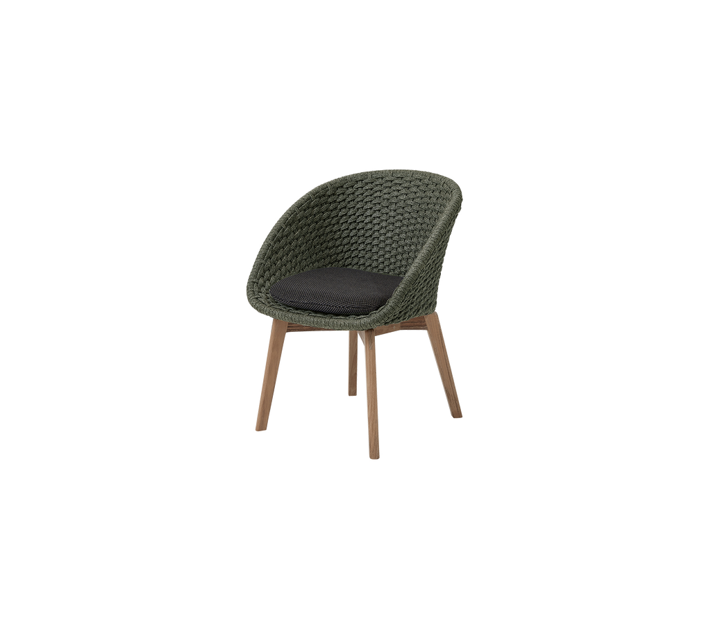 Peacock chair