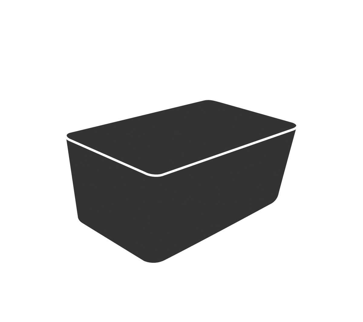 A simple black rectangular container with a flat lid, suitable for storage or organization.